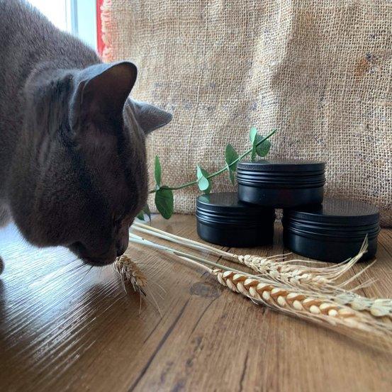 100gm Black Aluminium Tin - centaur packaging