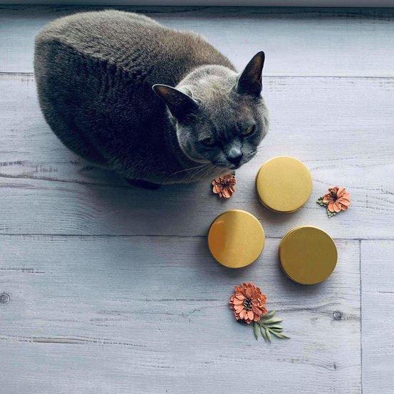 100gm Gold Aluminium tin - centaur packaging