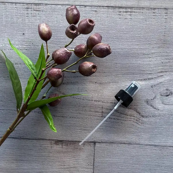 28mm Black Mister to fit YL Bloom Collagen Bottle single