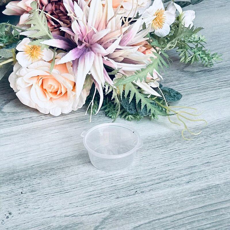 35ml Clear Container with hinged lid- Pack 50 - centaur packaging