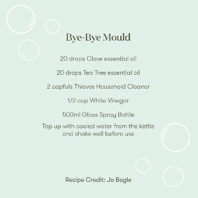 Bye Bye Mould Recipe