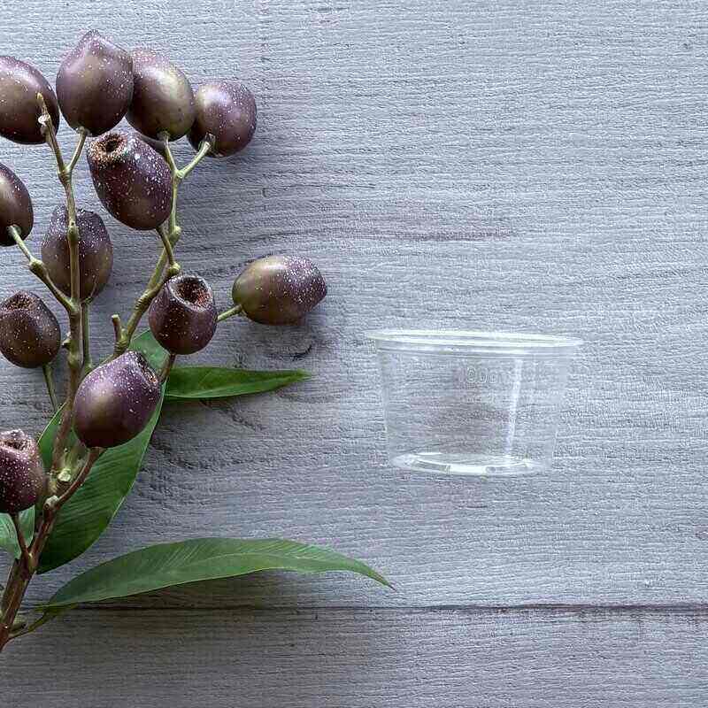 Cup-bio-pla140ml no lid - centaur packaging