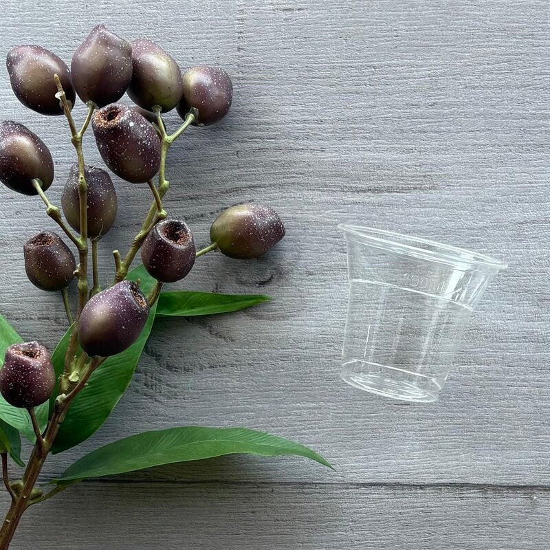 Cup-bio-pla150ml showing cup with no lid