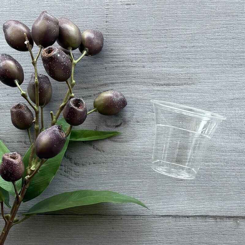 Cup-bio-pla150ml showing cup with no lid