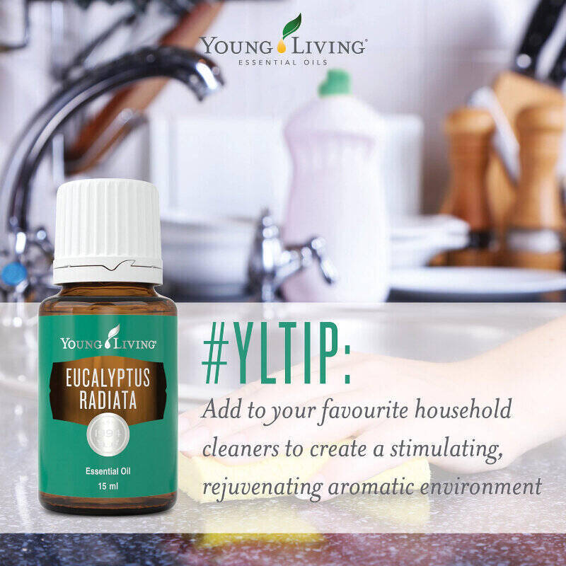 Eucalyptus Radiata Essential Oil- Centaur Packaging