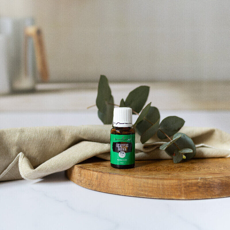 Eucalyptus Radiata By Young Living- Centaur Packaging