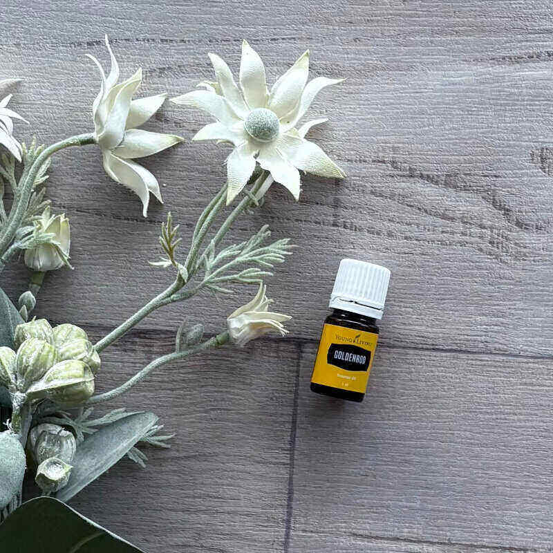 Goldenrod Essential Oil- Centaur Packaging