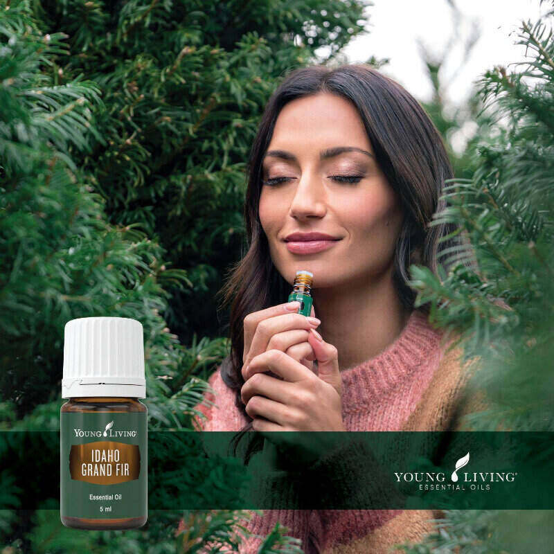 Young Living Idaho Grand fir - centaur packaging