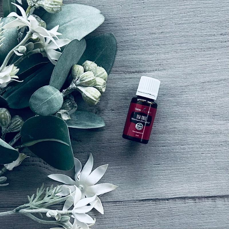 Young Living Tea Tree Oil 15ml