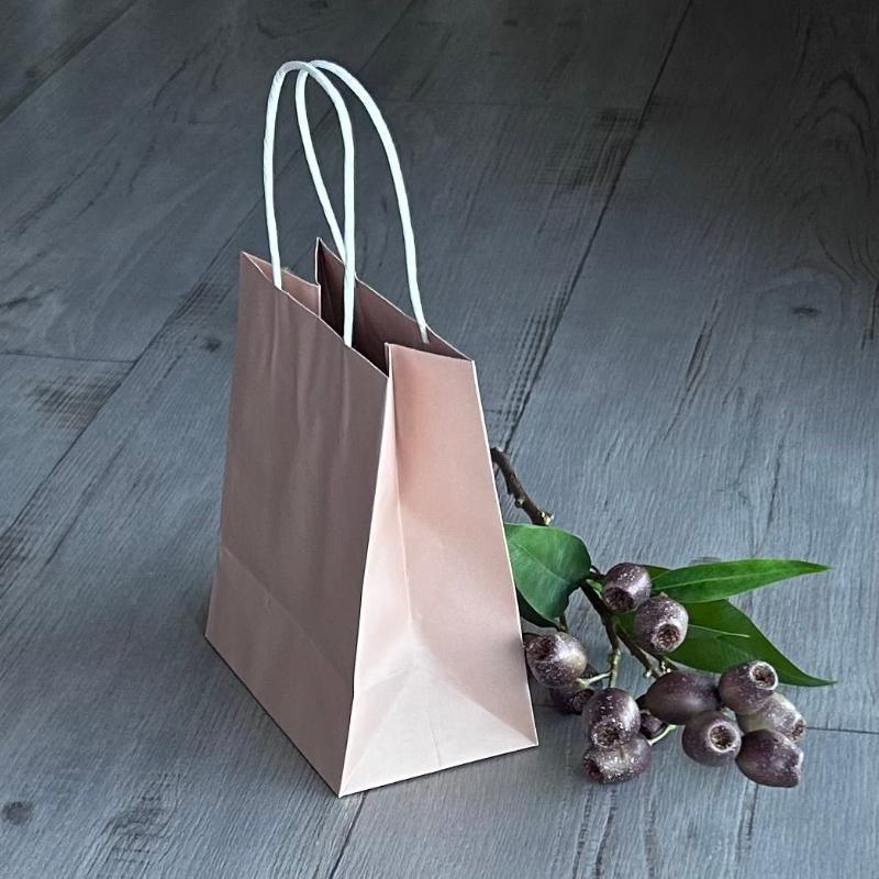 Paper gift bag dusty pink small with white twist handles 10 pk