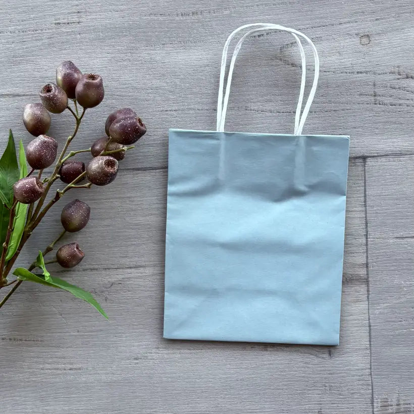 Toddler Paper Bag with handle - French Blue