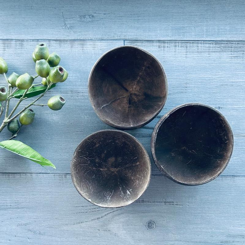 coconut bowl polished x 3