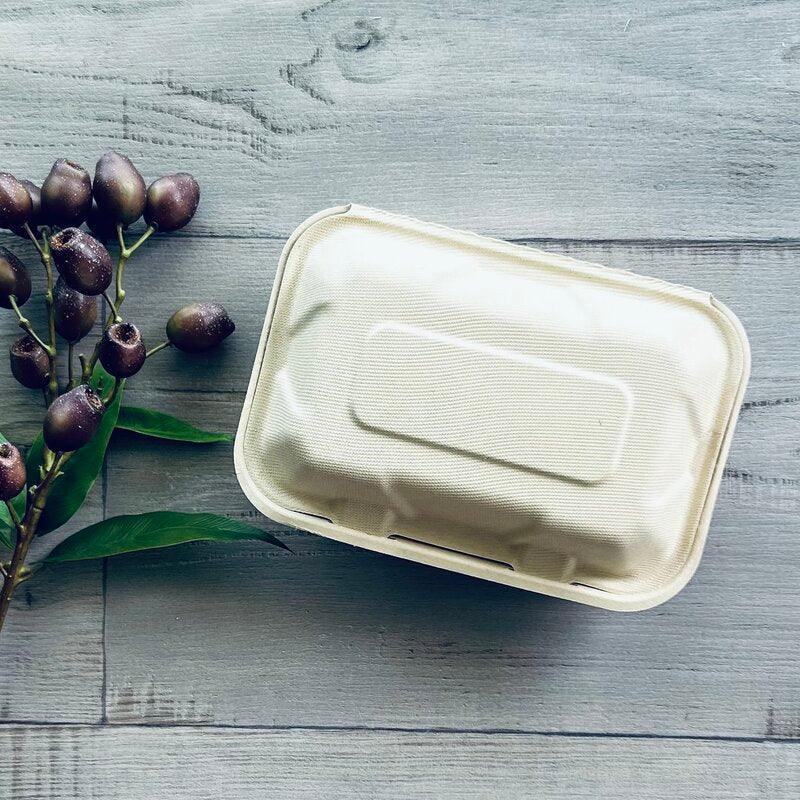 clam shell snack size unbleached sugarcane single closed