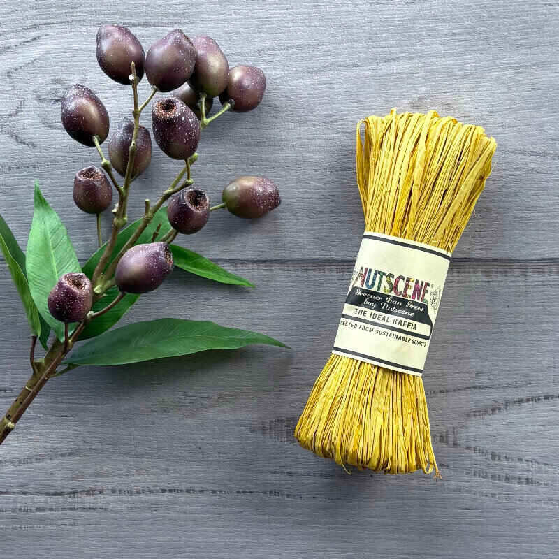 Raffia Nutscene - Daffodil