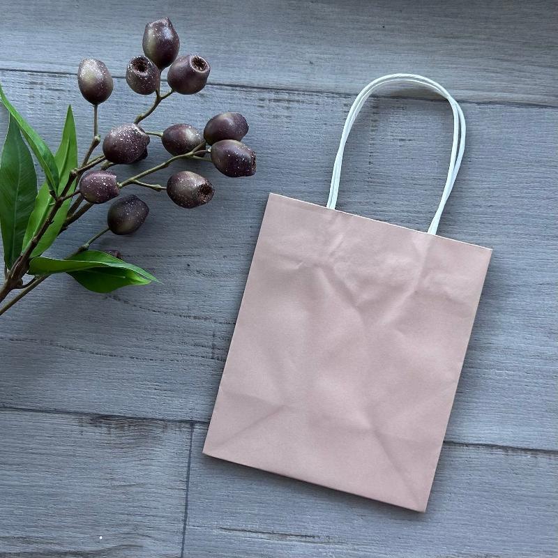 Paper gift bag dusty pink small with white twist handles 10 pk