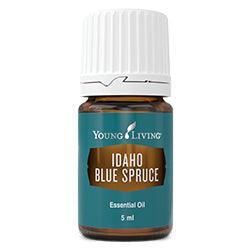 Idaho Blue Spruce Essential Oil 5ml - centaur packaging