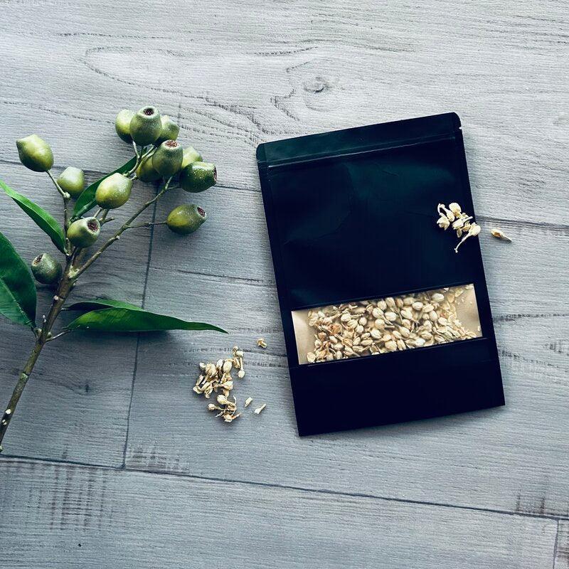 large black pouch with window