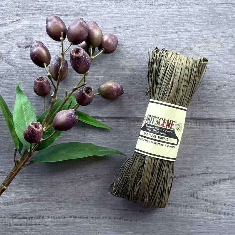 Raffia Nutscene - Olive