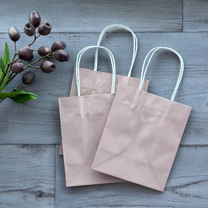 Paper gift bag dusty pink small with white twist handles 10 pk