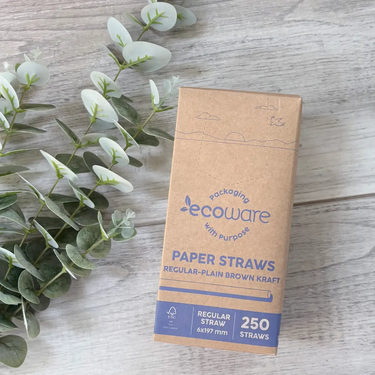 Paper Straw Regular - Kraft box 250