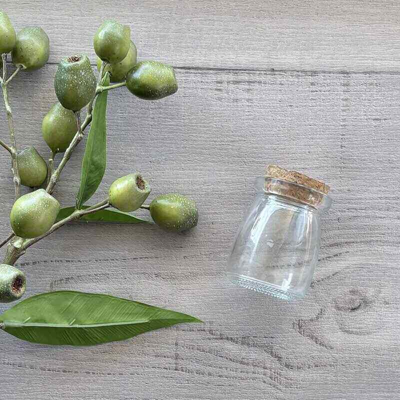 Bell Shape Thick Glass Jar With Cork Lid - 100ml SINGLE JAR