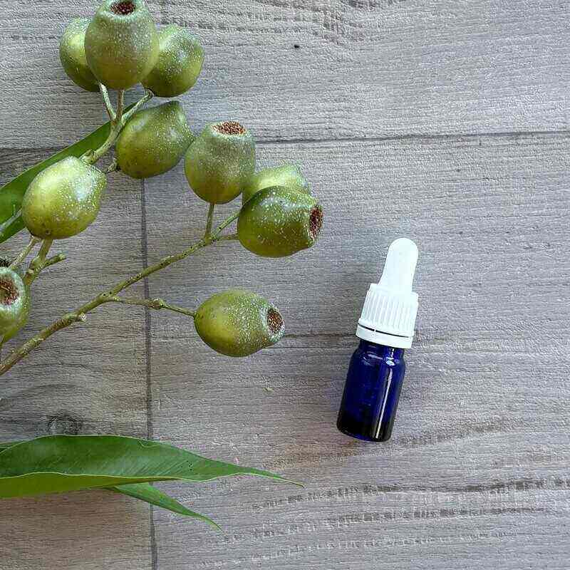 5ml white dropper with blue glass bottle single