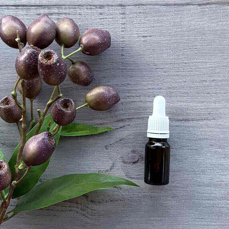 10ml amber glass bottle with tamper evident white dropper
