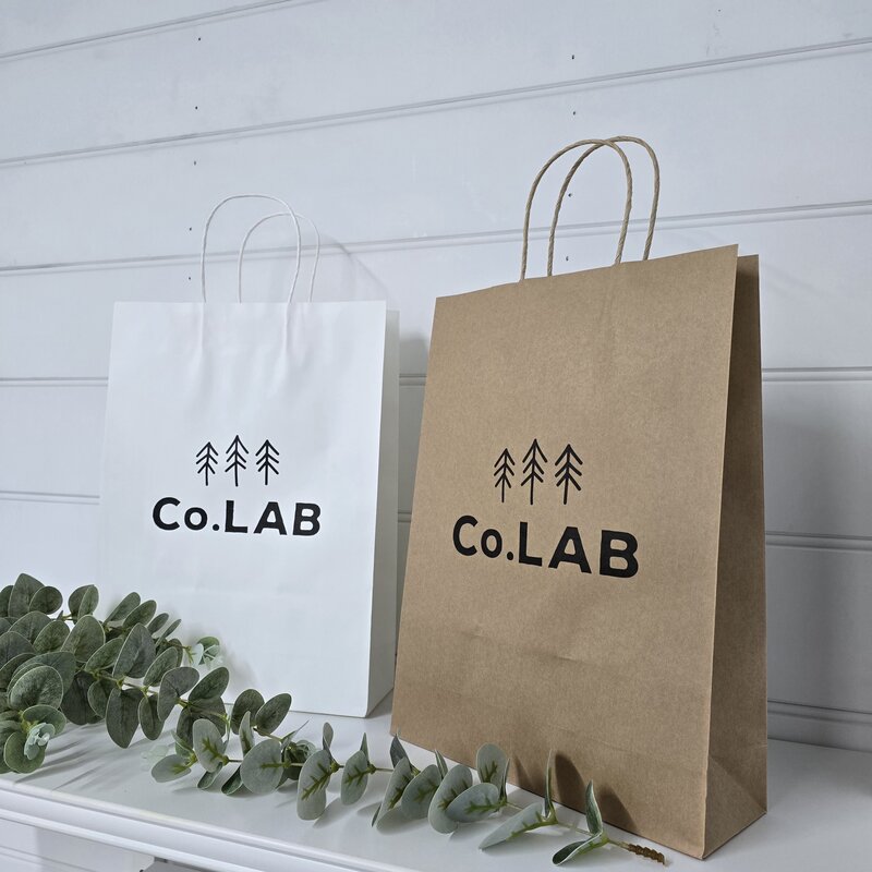 custom printed paper bag with handle white and kraft