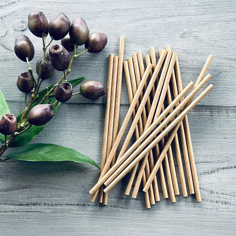 Paper Straws Kraft natural-Pack of 20 - centaur packaging