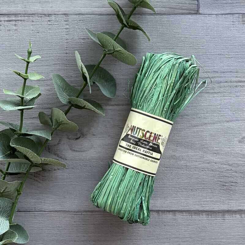 nutscene raffia peapod natural raffia hank