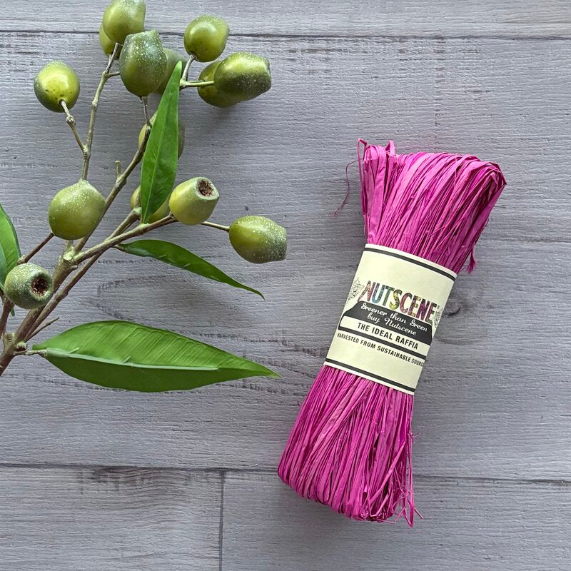 nutscene raffia fuschia hank