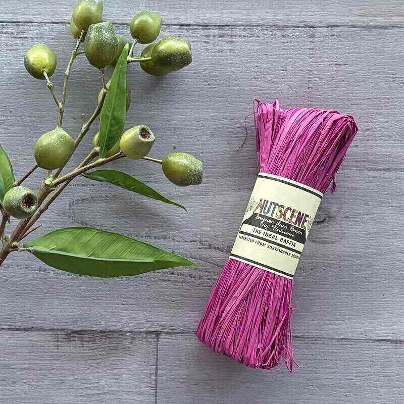 nutscene raffia fuschia hank