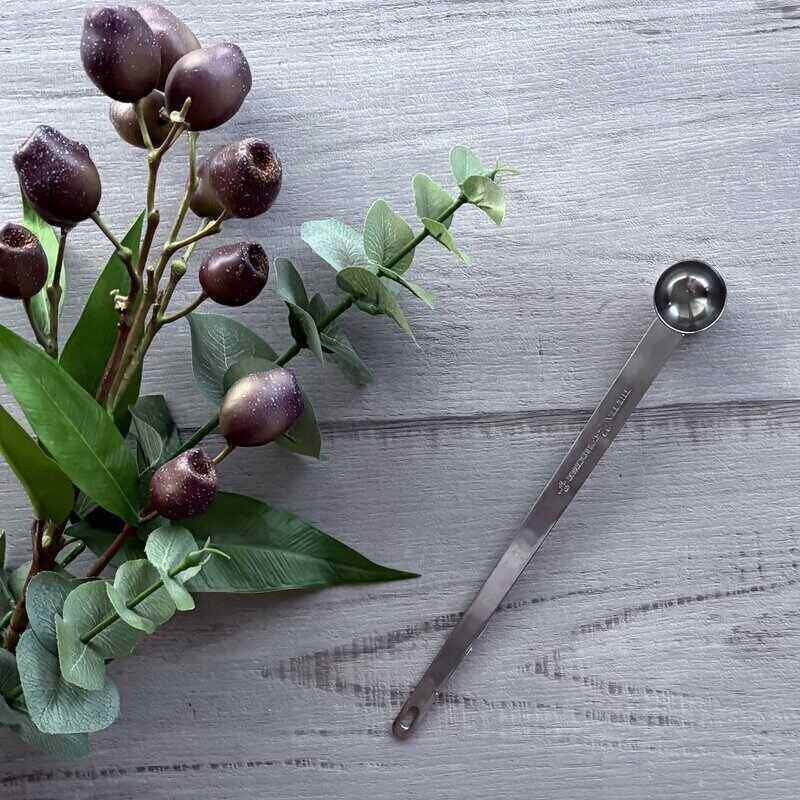 silver engraved the tea collective tea spoon