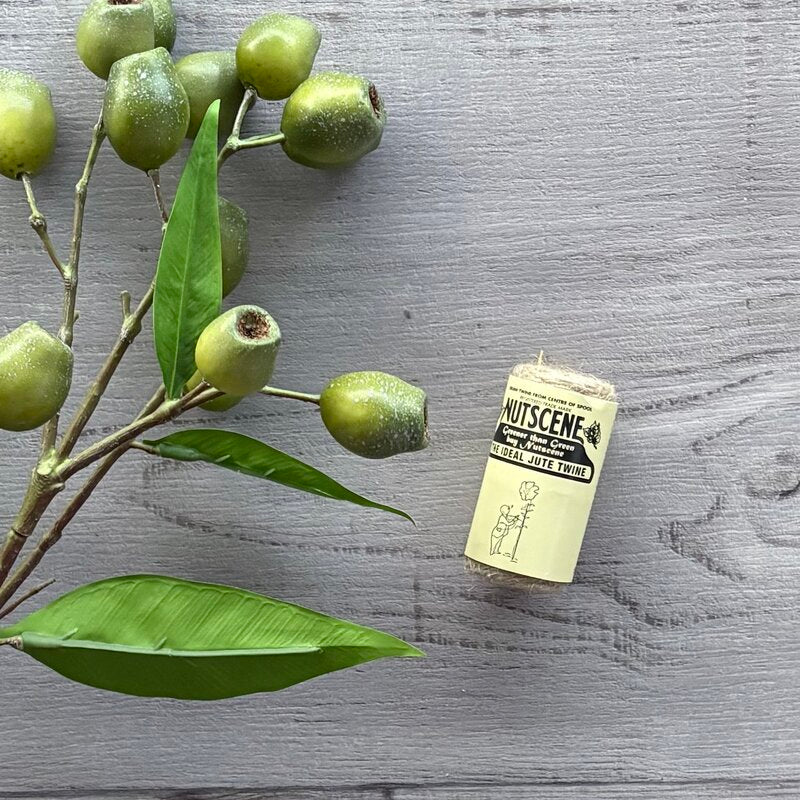 nutscene tiddler twine natural 20g roll