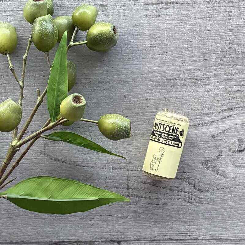 nutscene tiddler twine natural 20g roll