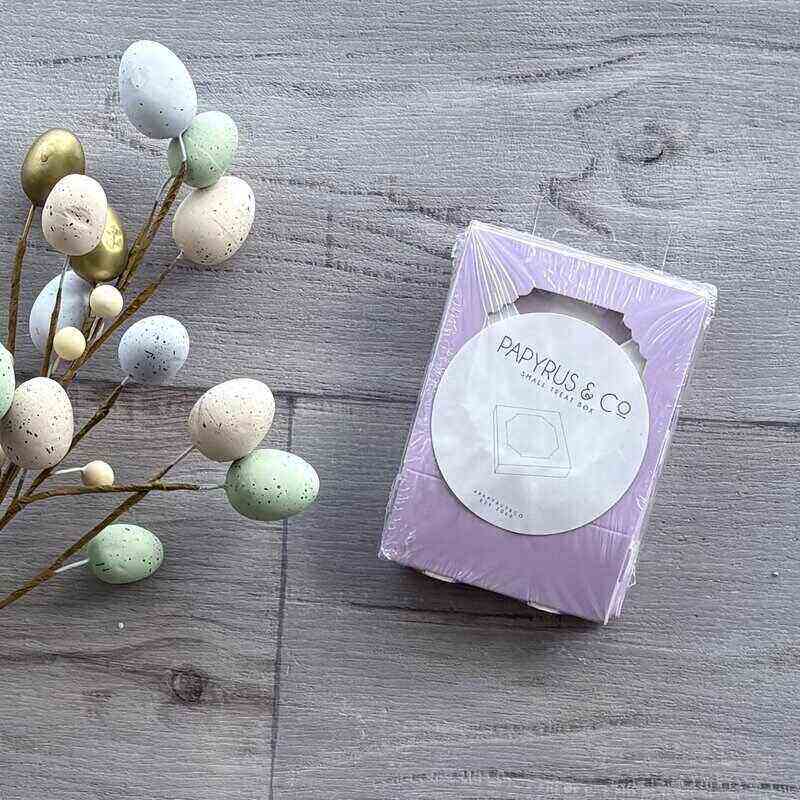 papyrus and co treat box small pastel lilac 5 pack