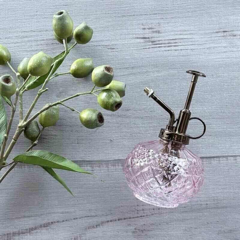 Vintage Glass Bottle Plant Mister - Pink