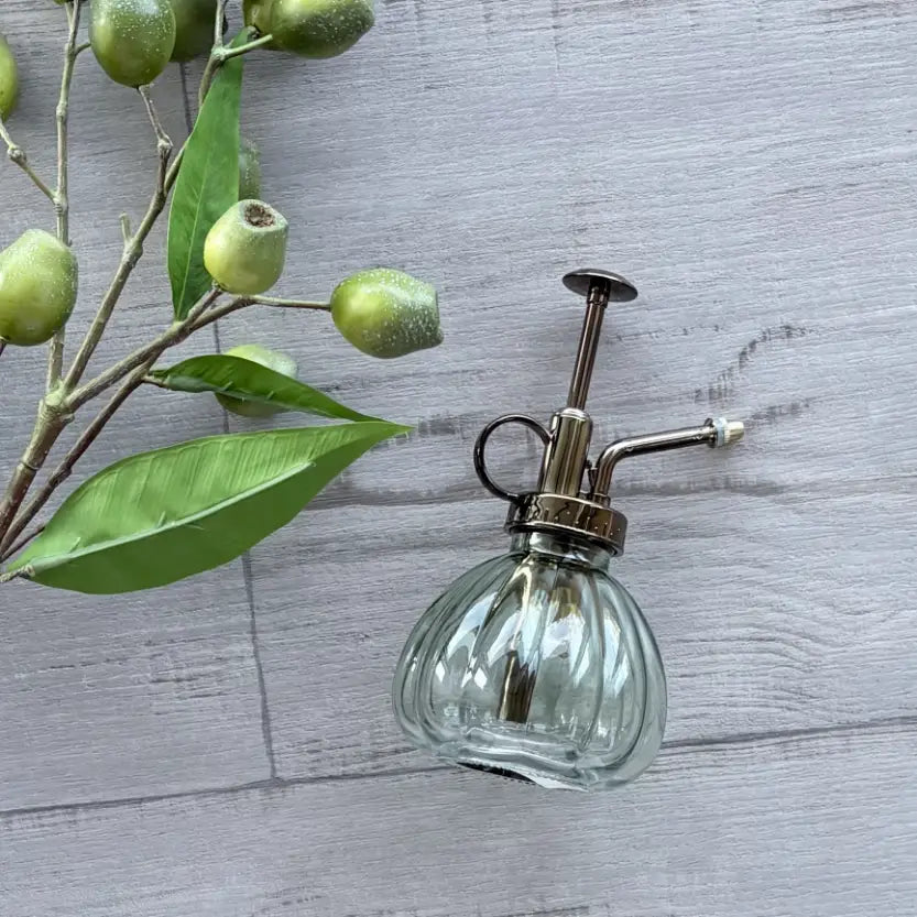 Vintage Glass Bottle Plant Mister - Sage