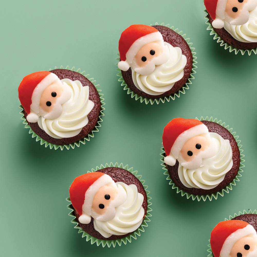 Edible Icing Decorations - Santa