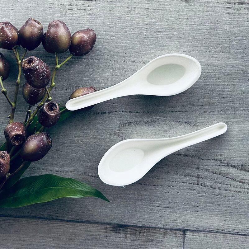 Sugarcane Chinese Soup Spoon - 100pk - centaur packaging