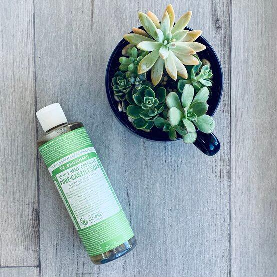 18-in-1 Hemp Green Tea Pure Castile -soap-with pot of succulents - centaur packaging