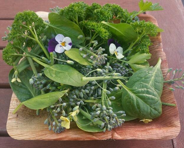 7" Square Deep Palm Leaf Bowl Pack of 25 - centaur packaging