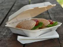 Bagasse IP17 - Dinner Clam pack of 50 - centaur packaging