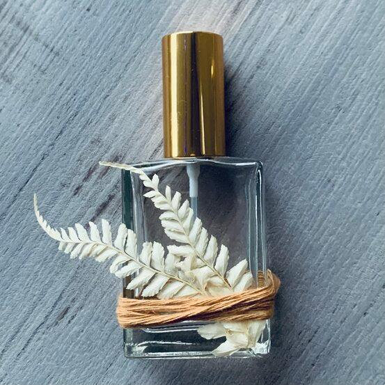 Dried Leatherleaf Fern Assorted Sizes Natural Centaur Packaging