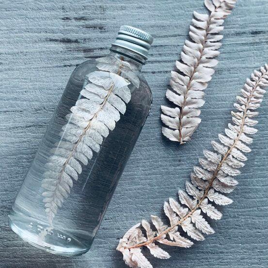 Dried Leatherleaf Fern - Soft Pink - centaur packaging