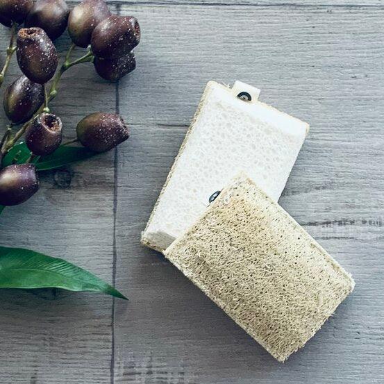 Eco Scrubs 2 Pack - centaur packaging