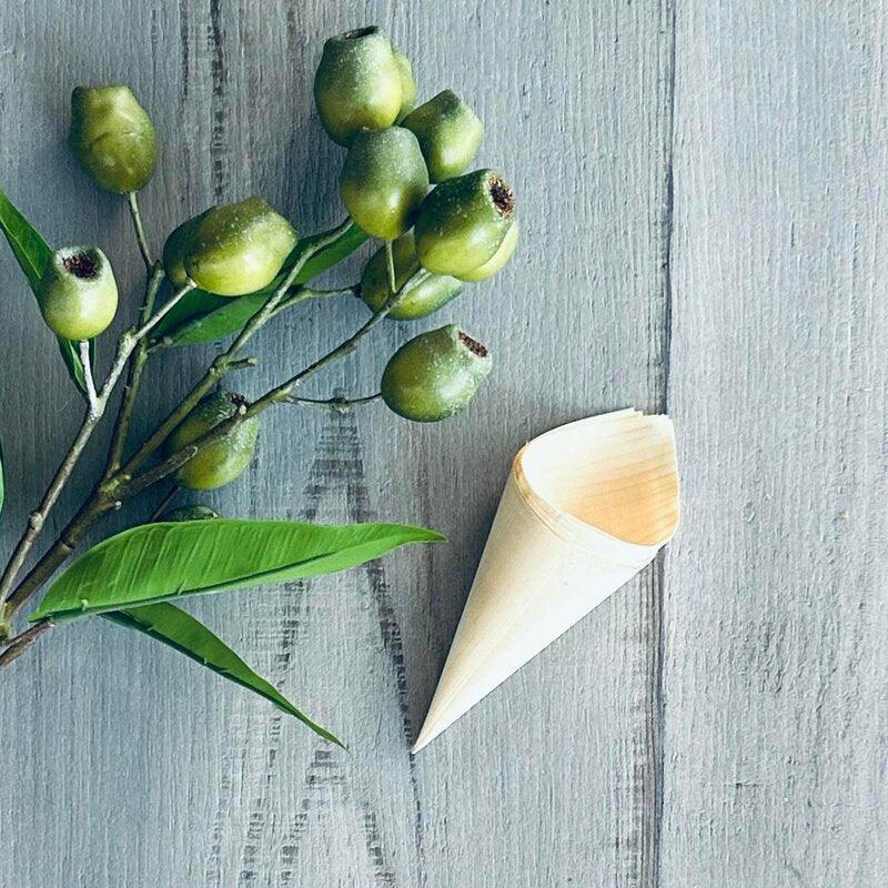 Cone Pine Wood 120mm Pack of 50 - centaur packaging