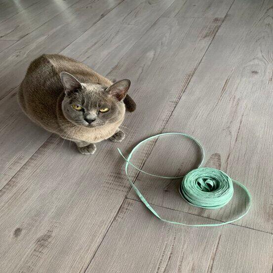 Paper Raffia 4mm x 100mt - Mint - centaur packaging