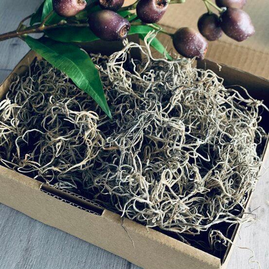 Preserved Spanish Moss-100gms - centaur packaging