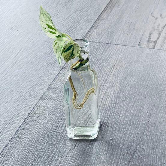 Corked Bottle 190ml - centaur packaging